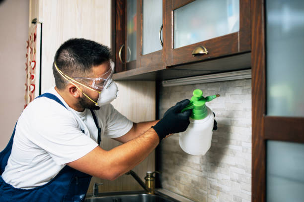 Best Termite Control Services  in Lewisburg, KY