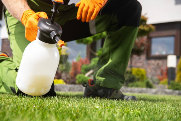 Best Pest Prevention Services  in Lewisburg, KY