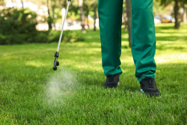 Best Mosquito Control Services  in Lewisburg, KY