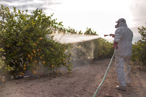Best Commercial Pest Control Services  in Lewisburg, KY