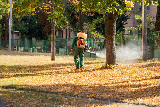 Best Emergency Pest Control  in Lewisburg, KY