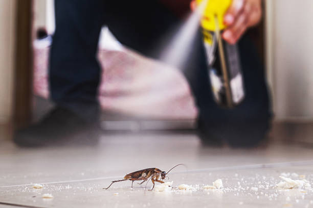 Best Pest Removal Services  in Lewisburg, KY