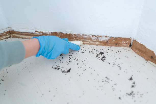 Best Wildlife Control Services  in Lewisburg, KY